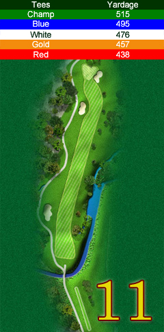 Hole 11 map