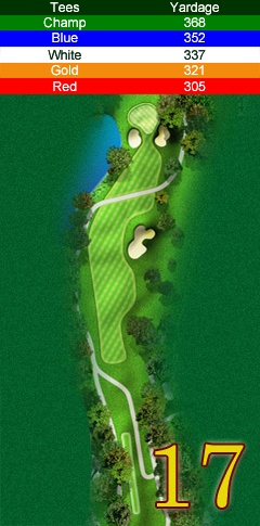 Hole 17 map