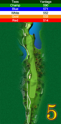 Hole 5 map