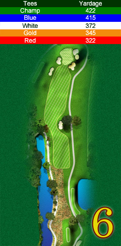 Hole 6 map