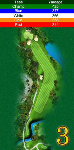 Hole 3 map