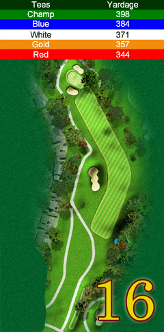 Hole 16 map