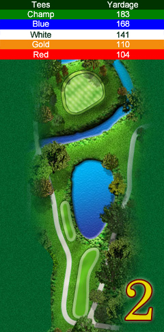 Hole 2 map