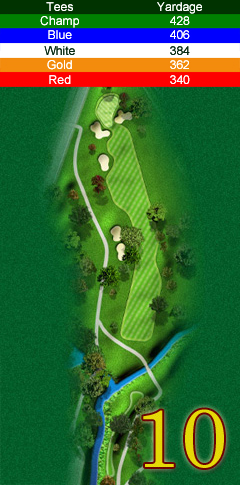 Hole 10 map