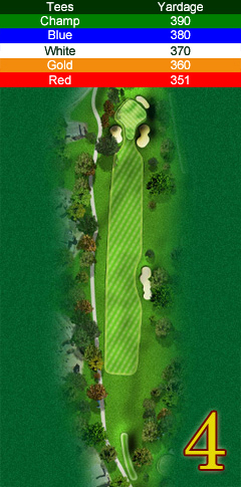 Hole 4 map