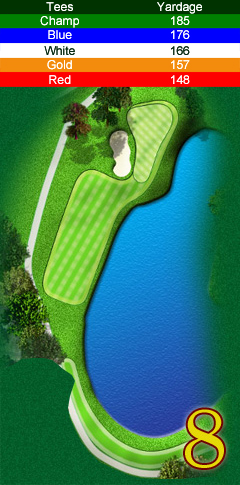 Hole 8 map