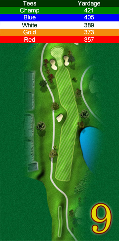 Hole 9 map